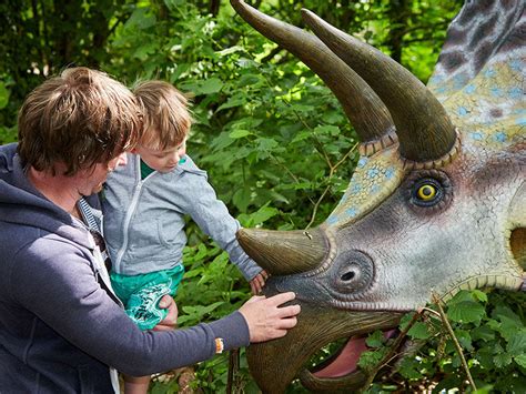 jurassic journey cotswolds|Jurassic Journey, Cotswolds, United Kingdom .